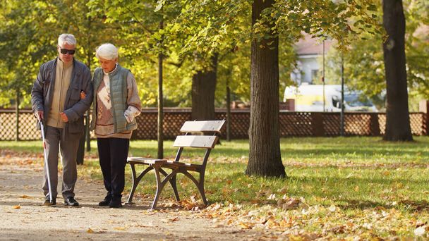 Senior Caucasian woman walks with her handicapped blind husband in park autumn full shot copy space . High quality photo - Photo, Image