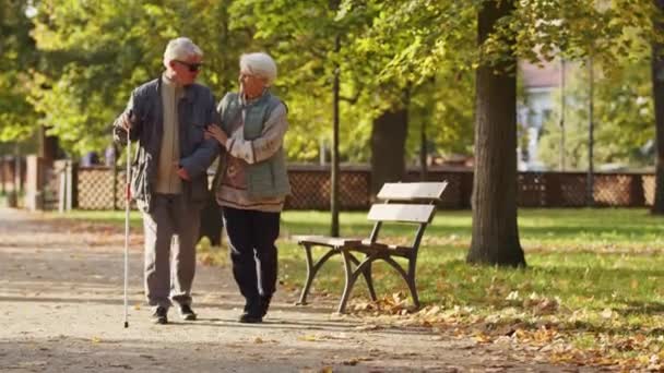  Żona spaceruje z niewidomym mężem z kijem trzcinowym i okularami w parku. Wysokiej jakości materiał 4k - Materiał filmowy, wideo