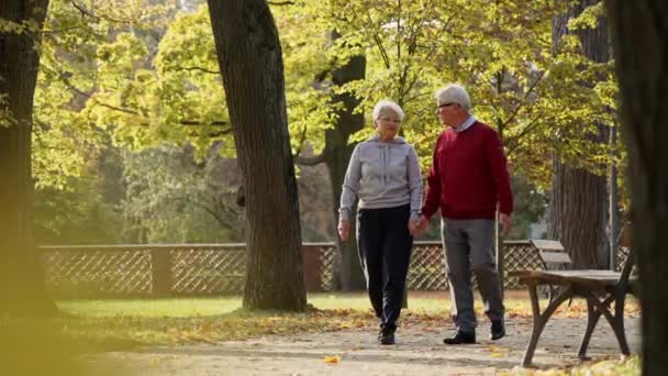  Vanhempi eurooppalainen aviopari kävelee puistossa, pitää kädestä, ammuttu selästä, keskikokoinen laukaus kopiotilaa. Laadukas kuva - Materiaali, video