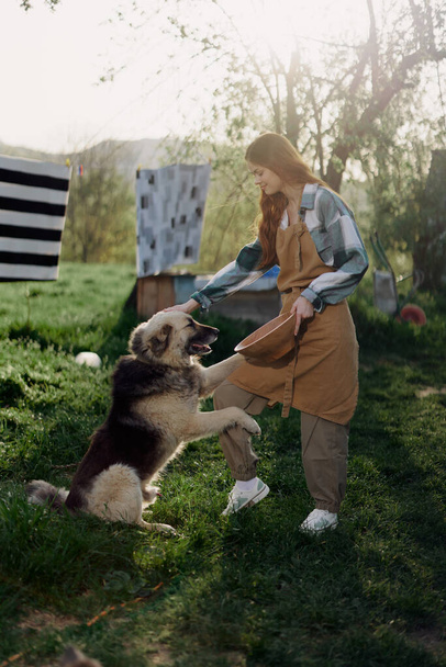 Büyük tüylü köpeğini okşayan bir kadın. Kırsal kesimdeki bir çiftlikte bir halatın üzerinde temiz çamaşırların olduğu bir zemine karşı. Yüksek kalite fotoğraf - Fotoğraf, Görsel