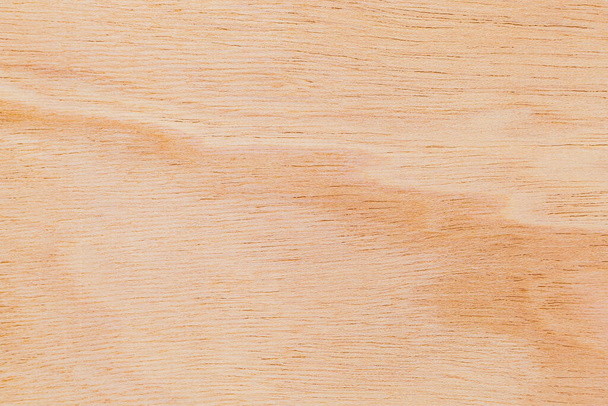 Superfície cortada texturizada áspera clara de uma árvore africana. Fundo de madeira ou em branco para design. Um recurso gráfico ou underlay para texto ou rótulos. - Foto, Imagem