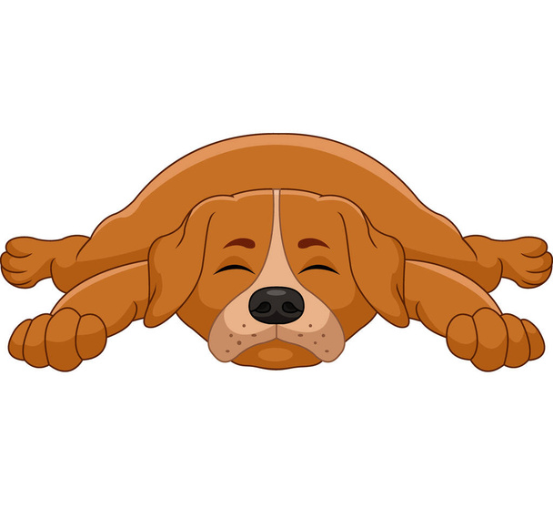 Ilustração vetorial de desenhos animados bonito cão dormindo no fundo branco - Vetor, Imagem