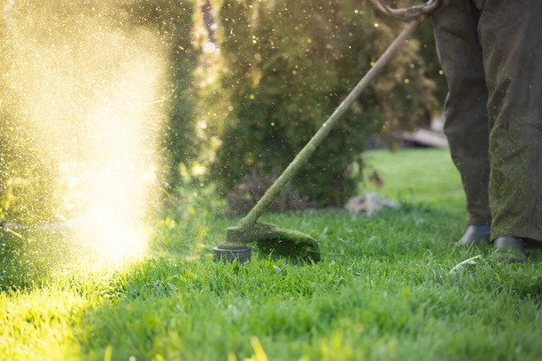 Mowing the grass with a lawn mower. Garden work concept background. - 写真・画像