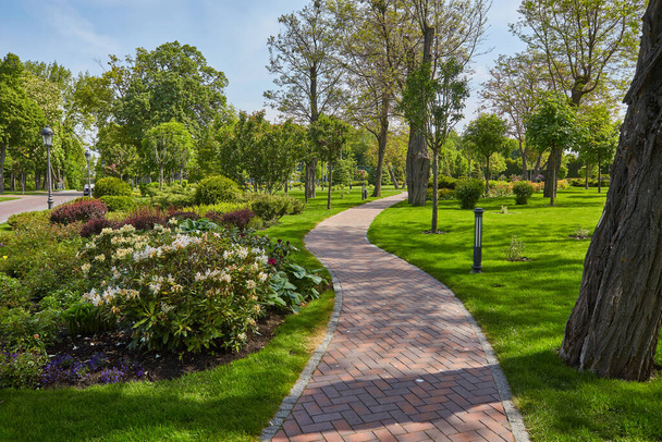 Běžecká stezka v zahradě veřejného parku mezi zelení stromů, květinové keře a keře, černý asfalt beton chodník vedle trávníku zelené trávy v dobré péči údržba krajiny - Fotografie, Obrázek
