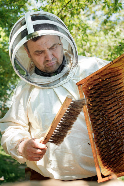 Un apicultor con un traje protector sacude el marco de miel de las abejas con un cepillo. Bombeando miel. Apicultura. Apicultor. - Foto, imagen