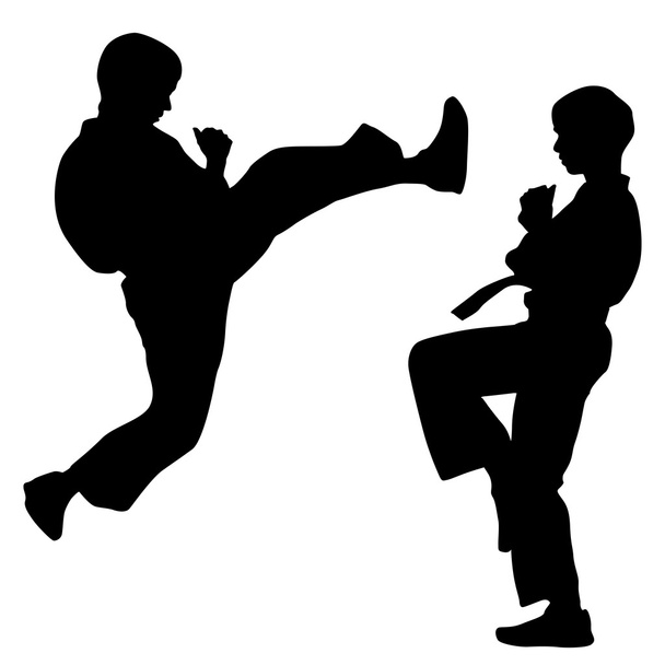black silhouettes of karate. Sport vector illustration. - Vector, Image