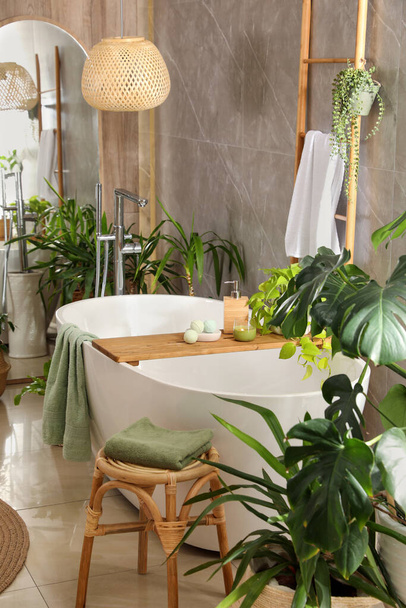 Modern white tub and beautiful green houseplants in bathroom. Interior design - Fotografie, Obrázek