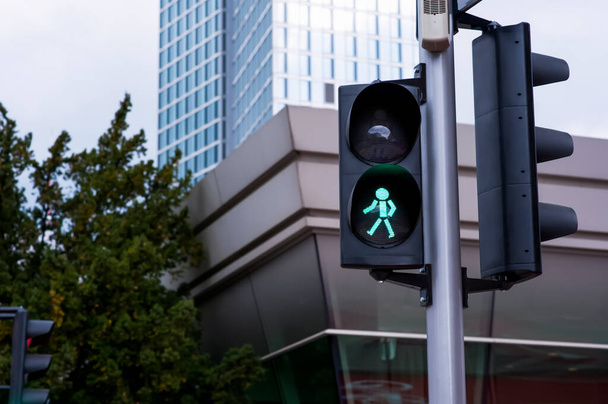 Post with traffic lights in city, space for text - Foto, immagini