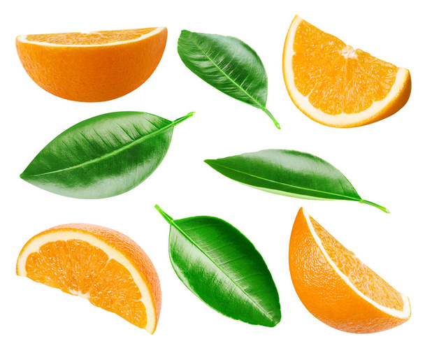 Orange collection. Orange with clipping path isolated on a white background. Fresh organic fruit. Full depth of field - Photo, Image