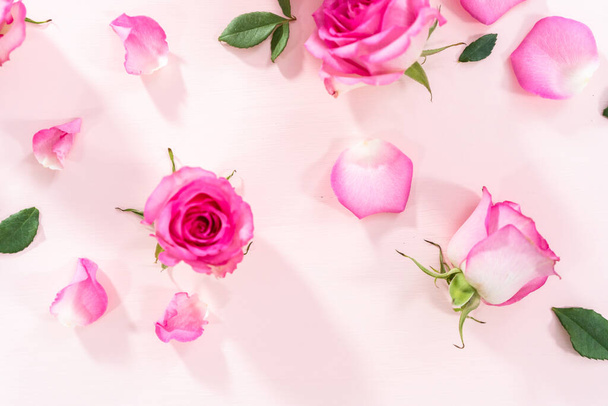 Flat lay. Pink roses and rose petals on a pink background. - Valokuva, kuva