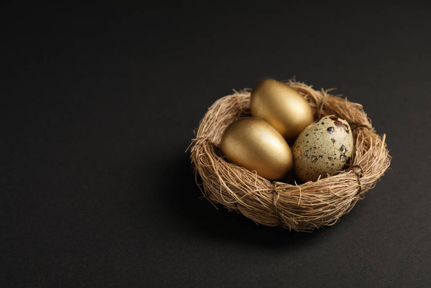 Golden and ordinary quail eggs in nest on black background, space for text - Foto, imagen