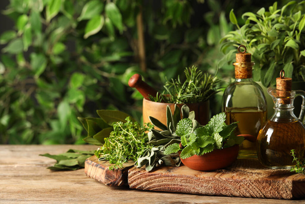 Different fresh herbs with oils on wooden table - Foto, Imagen