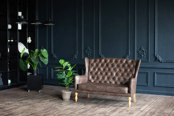 Tágas klasszikus stílusú szoba kanapéval. Elegáns minimalista belső tér retro stílusban, barna kanapéval a sötét szobában. Dívány és nagy zöld ház növények cserepes fapadlón.  - Fotó, kép