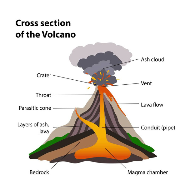 Doorsnede van de vulkaan - Vector, afbeelding