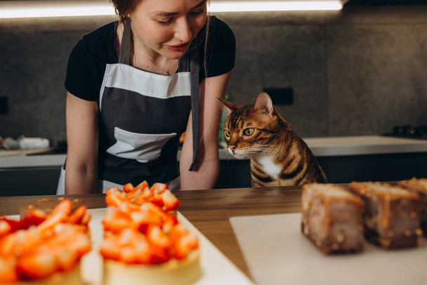Kat op zoek Chocolade taart in cat cafe. - Foto, afbeelding