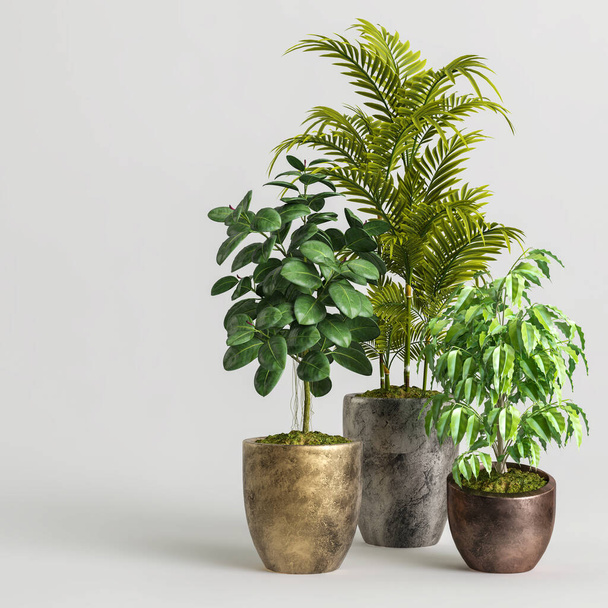Illustration 3D de la collection de plantes d'intérieur isolées sur fond blanc - Photo, image