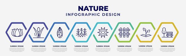 vector infographic design template with icons and 8 options or steps. infographic for nature concept. included beautiful lotus flower, reeds, flower seeds, forest fire, sun flare, picket fence, - Вектор,изображение