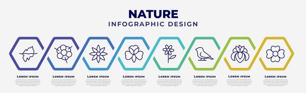 vector infographic design template with icons and 8 options or steps. infographic for nature concept. included iceberg, magnolia, clematis, alstroemeria, oleander, bird, iris, jasmine. - Vector, Imagen