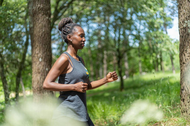 Jovem mulher esportiva correndo na floresta em um dia ensolarado - Foto, Imagem
