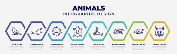 vector infographic design template with icons and 8 options or steps. infographic for animals concept. included canary, sea lion, puffer, tortoise, nymphicus hollandicus, siberian tiger, wolverine, - Διάνυσμα, εικόνα