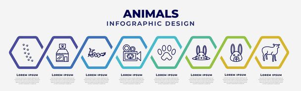vector infographic design template with icons and 8 options or steps. infographic for animals concept. included pawprints, pet shop, japanese dragon, documentary, paw, bunny, animal, lamb side view. - Vetor, Imagem