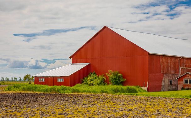 Typique ferme nord-américaine par temps nuageux. Cour de ferme avec la maison et la grange rouge. Photo de voyage, mise au point sélective, personne - Photo, image