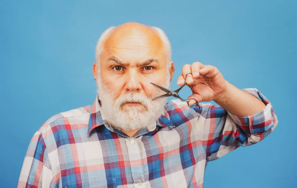 Barber scissors. Middle aged man. Portrait of old bald man bearded man with grey moustache beard - 写真・画像