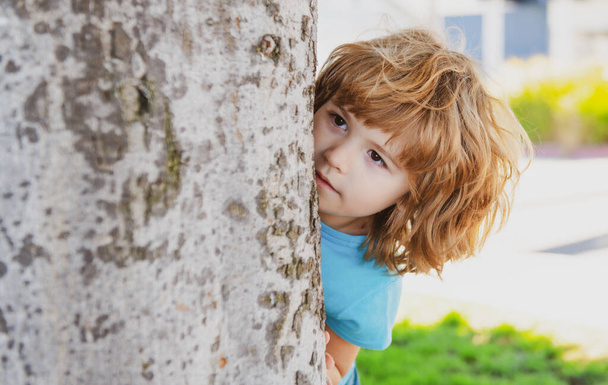 Kids games. Playing hide and seek. Peekaboo. Little boy hiding by tree - 写真・画像