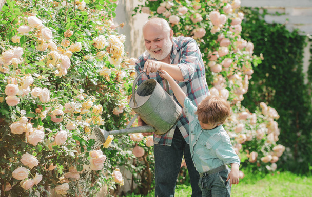 Gardening hobby. Grandson and grandfather spend time in the orchard. Watering flowers in garden - Fotoğraf, Görsel