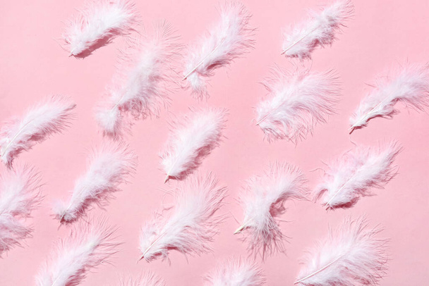 Beautiful feathers on pink background - Photo, Image