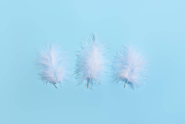 White feathers on blue background - Fotó, kép