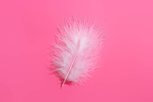 Soft white feather on pink background - Foto, afbeelding