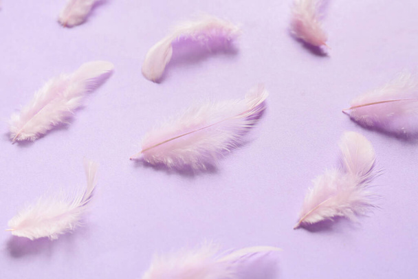 Beautiful feathers on lilac background - Fotoğraf, Görsel