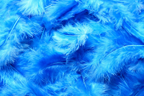 Hermosas plumas azules como fondo - Foto, Imagen