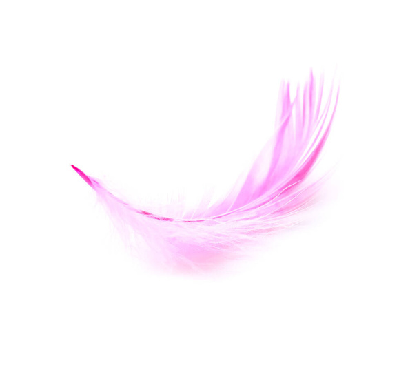 Beautiful pink feather on white background - Foto, Imagen