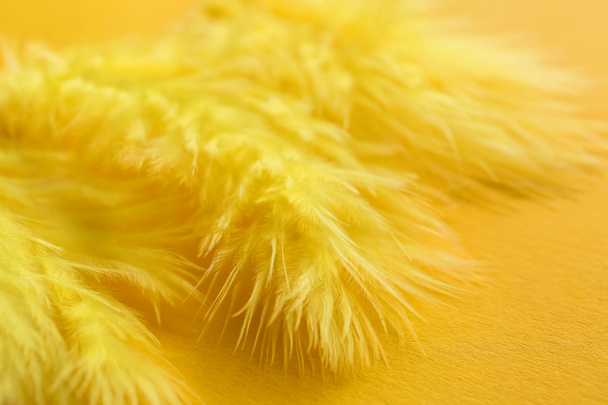 Fluffy Background Yellow Feathers Stock Photo, Picture and Royalty