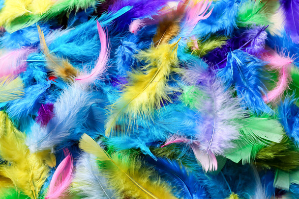 Hermosas plumas brillantes como fondo - Foto, imagen