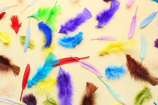 Beautiful bright feathers on color background - Photo, Image