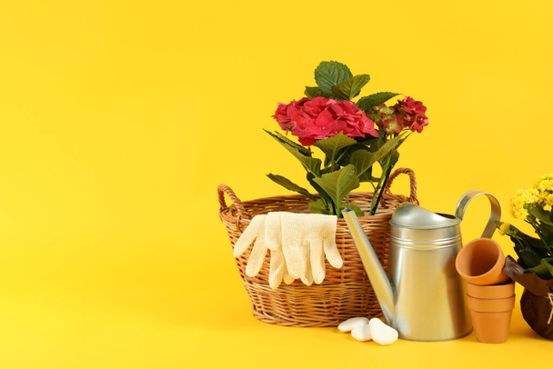 Accessories and tools for gardening on yellow background - Fotoğraf, Görsel