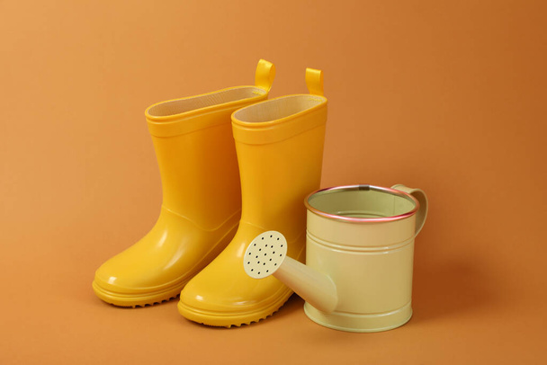 Pair of rubber boots and watering can - Fotografie, Obrázek