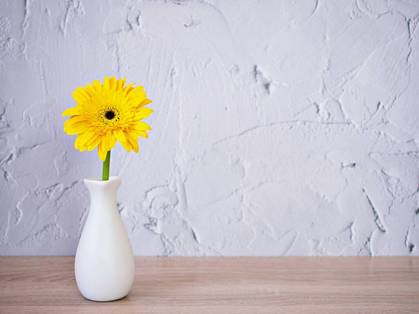 Beautiful yellow Daisy Gerbera jamesonii daisy flower in vase on table ,Barberton Transvaal daisy copy space for text lettering flower in ceramic on wooden table texture cement background wallpaper ,product  - Photo, Image