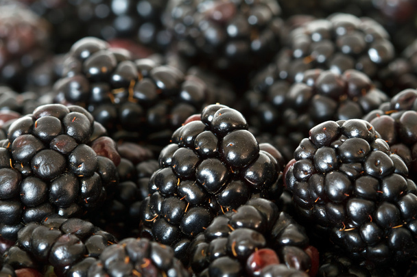 Blackberries - Fotoğraf, Görsel