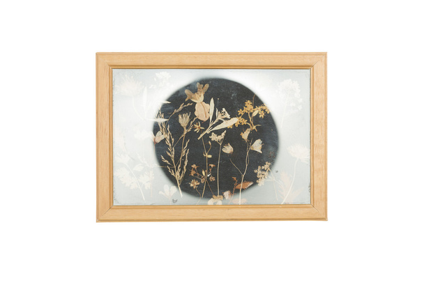 cornice con vecchi fiori secchi, isolato su bianco
 - Foto, immagini