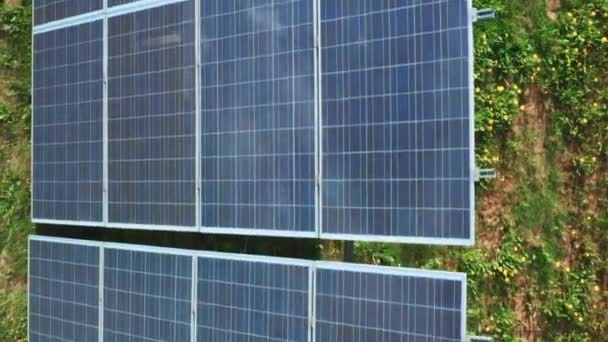 Longa fileira de painéis solares fotovoltaicos construídos na grama no campo. Células solares modernas geram energia verde renovável no close-up da estação elétrica - Filmagem, Vídeo