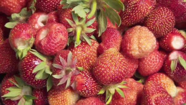 Strawberry background. Food background. freshly picked strawberries. - Footage, Video