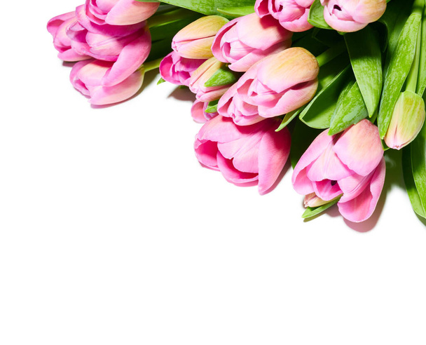 mooi boeket van roze tulpen geïsoleerd op witte achtergrond - Foto, afbeelding