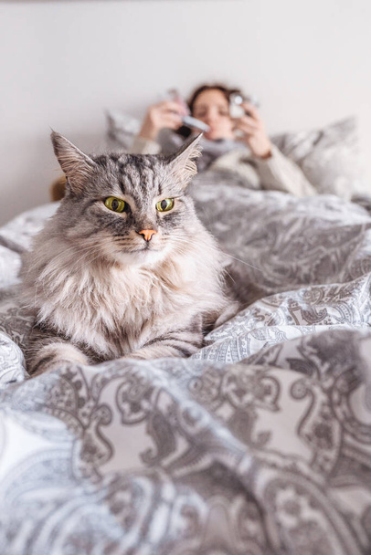 gray striped, fluffy domestic cat lies on bed, sick or sleeping child is on blurred background. comfortable life of pet cat. Soft focus, neutral color palette - Photo, Image