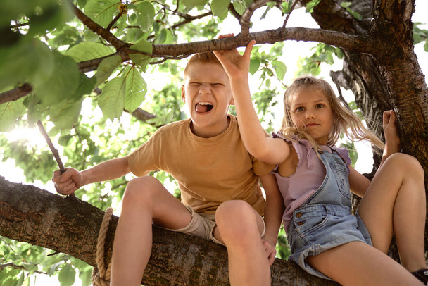 Μικρά παιδιά που κάθονται στο δέντρο την καλοκαιρινή μέρα  - Φωτογραφία, εικόνα