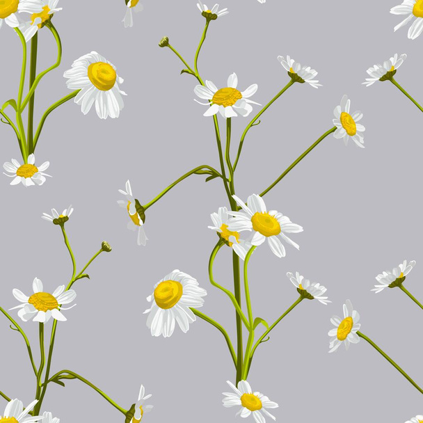 Meadow wildflower seamless  pattern. Botanical camomile, grey background. Delicate field flower and herb illustration. - Vetor, Imagem