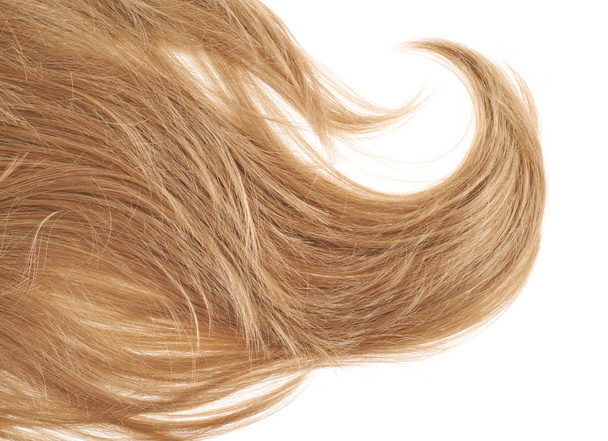 Hair fragment over the white - Foto, imagen